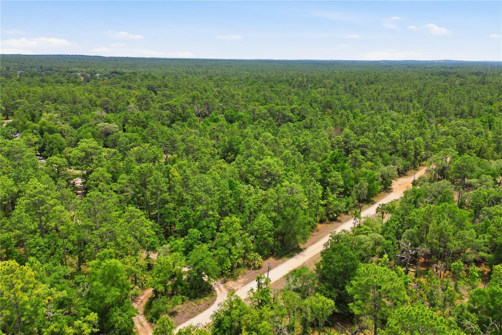 5339 N LACE PT, DUNNELLON, FL, 34433