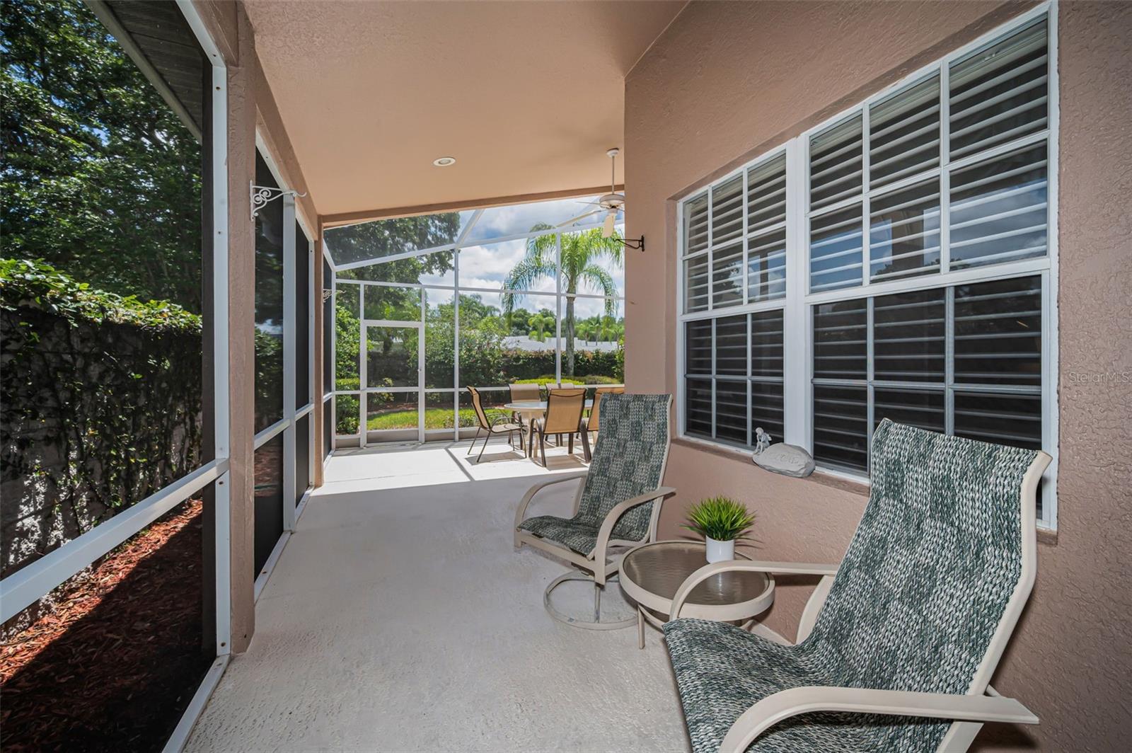 9310 SOUCHAK DR, TRINITY, FL, 34655