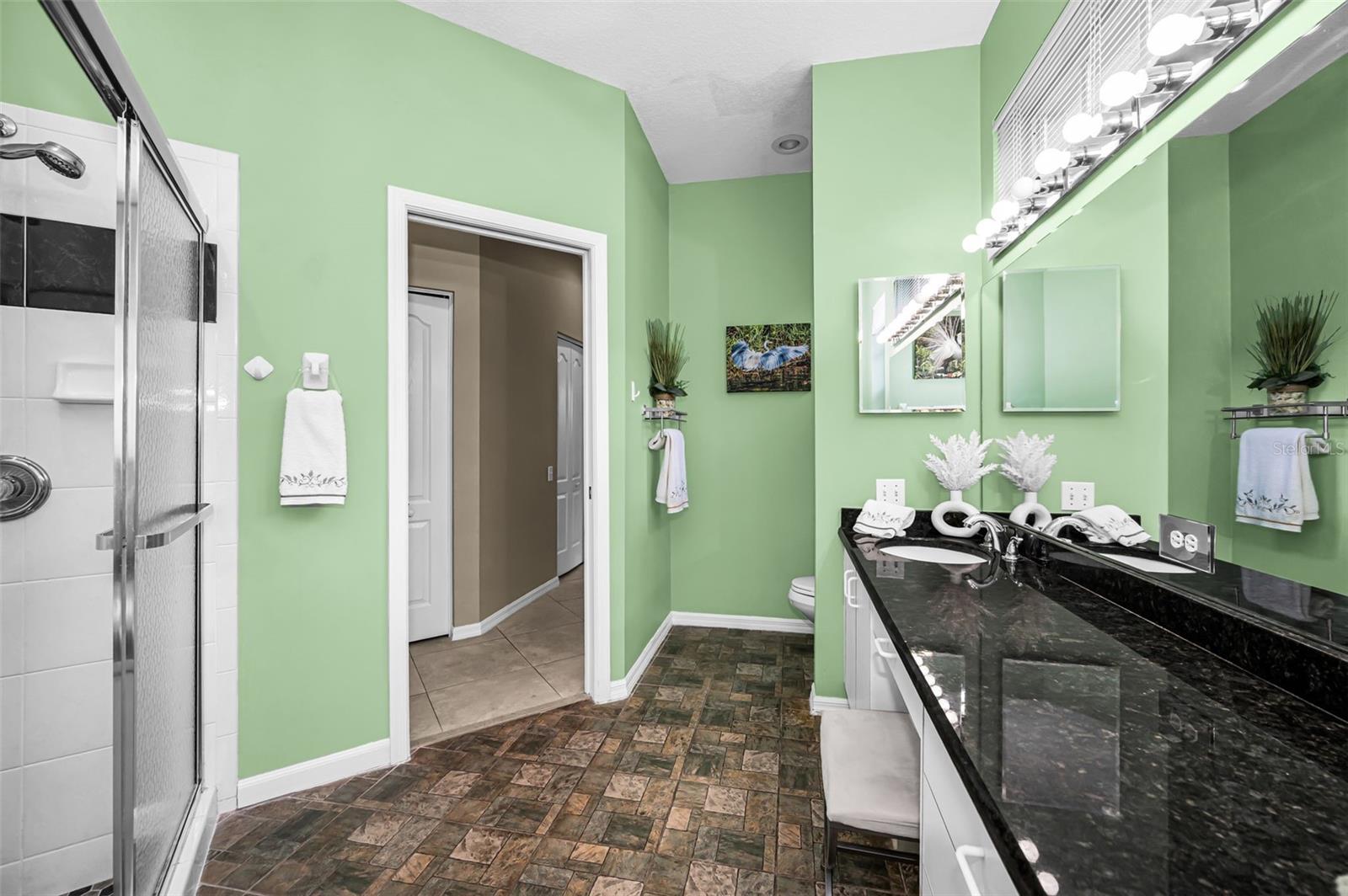 9310 SOUCHAK DR, TRINITY, FL, 34655