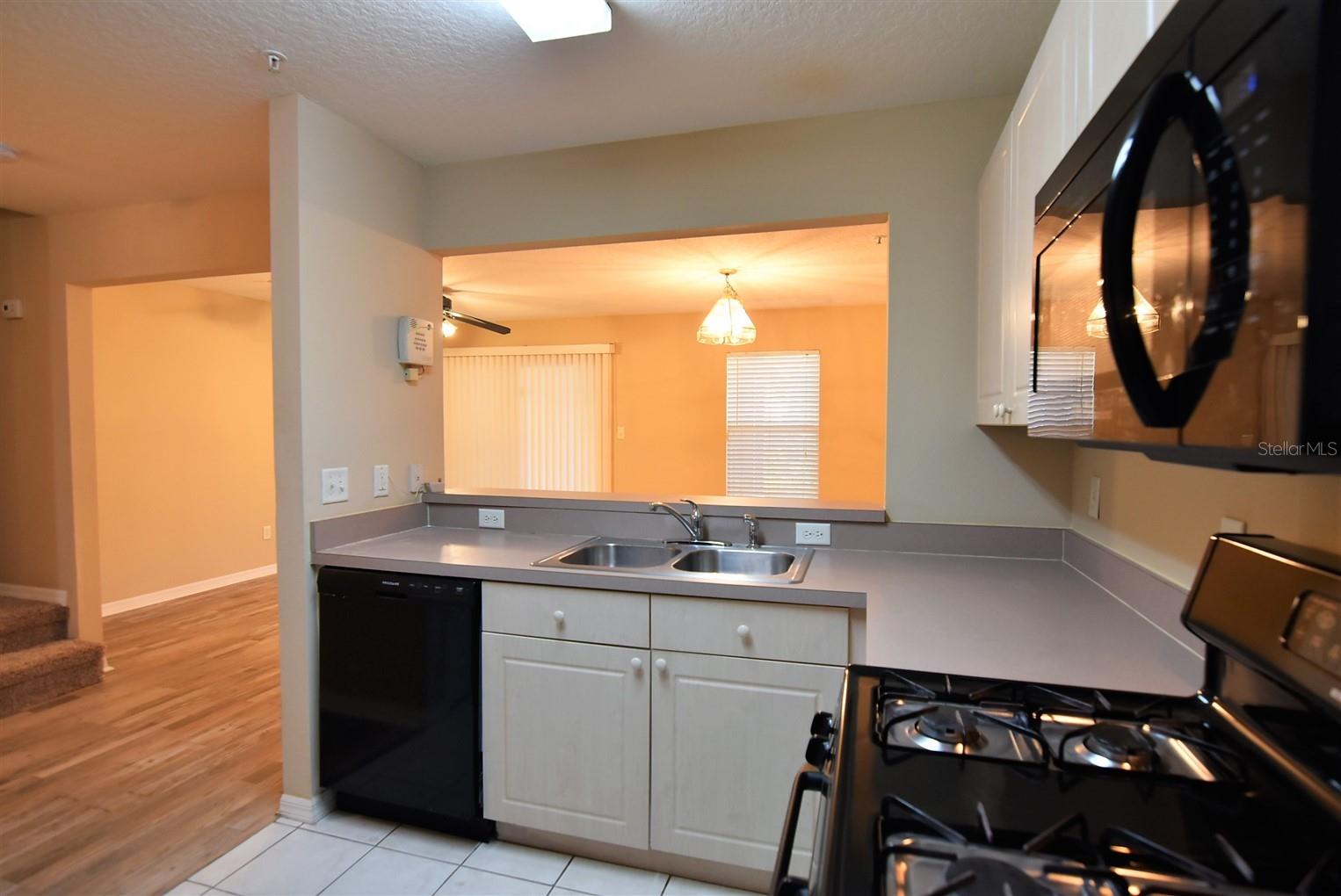 1066 DOLPHIN DR, WINTER GARDEN, FL, 34787