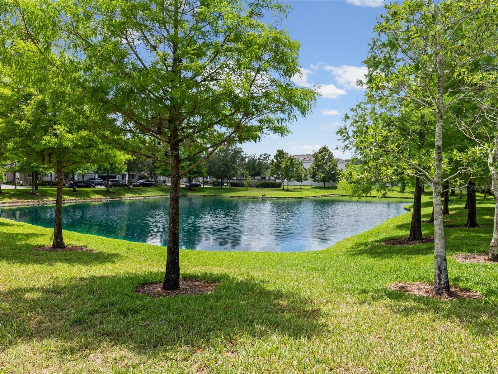 7105 PARK TREE DR, TAMPA, FL, 33625