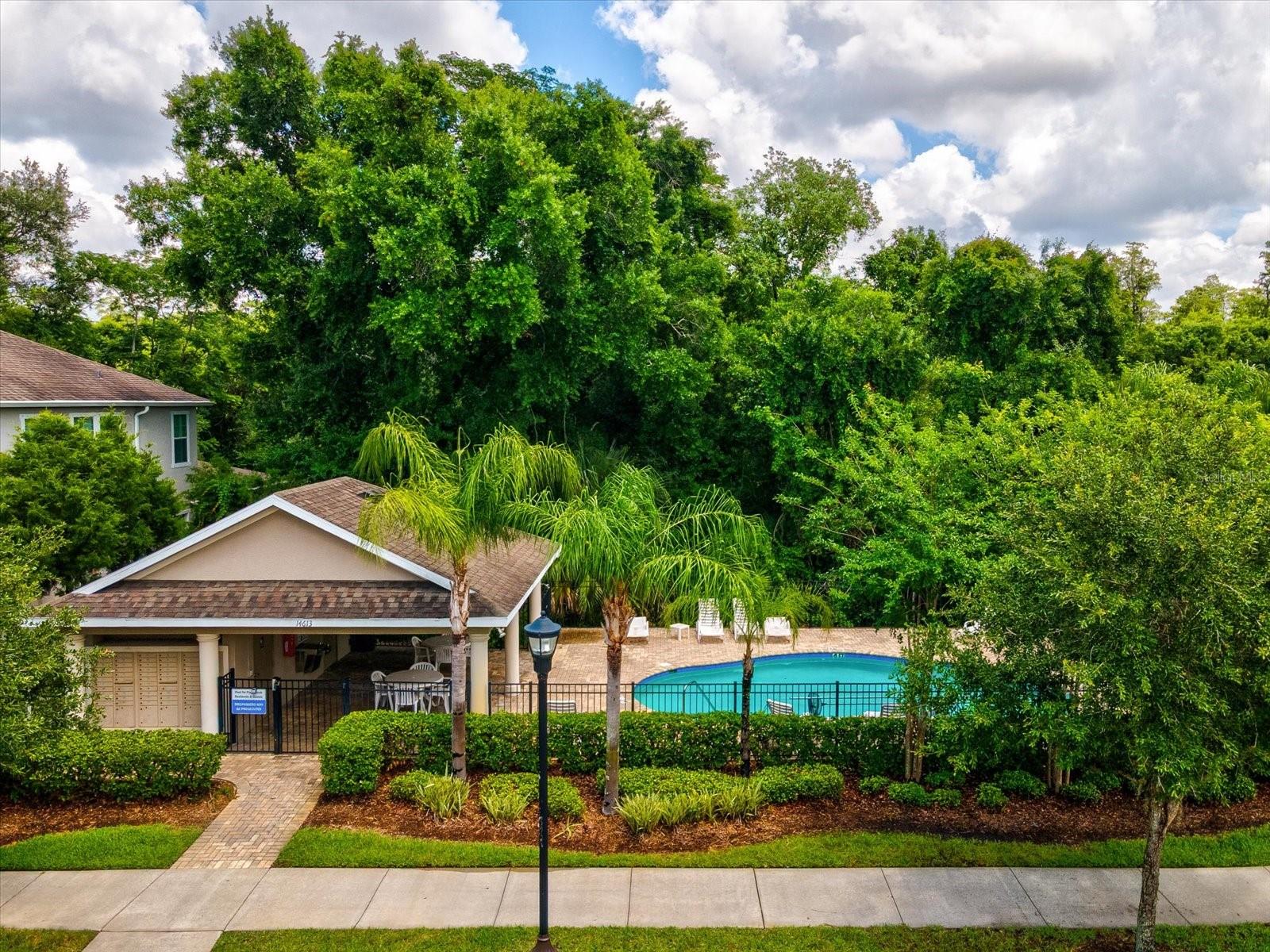 7105 PARK TREE DR, TAMPA, FL, 33625