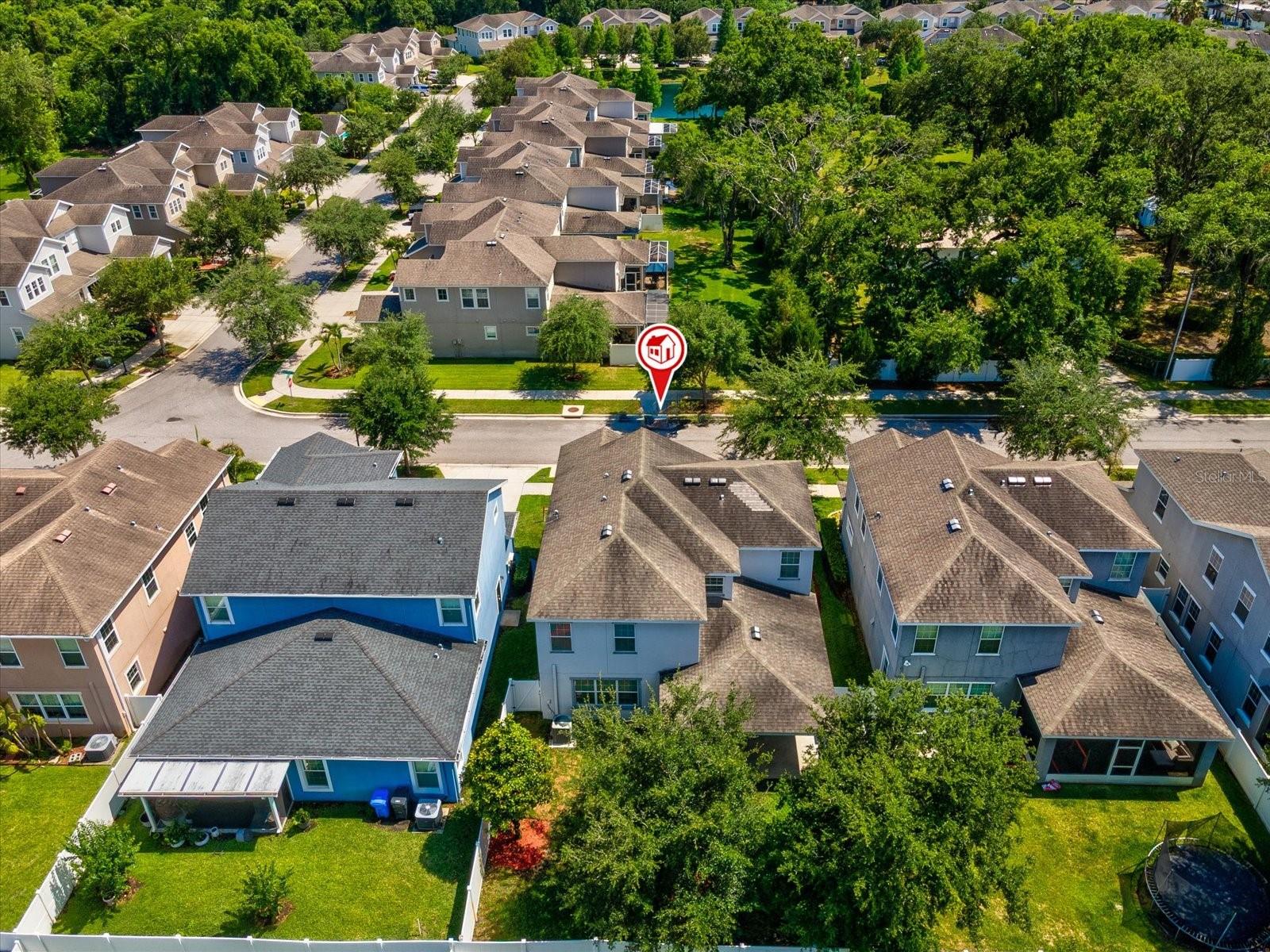 7105 PARK TREE DR, TAMPA, FL, 33625