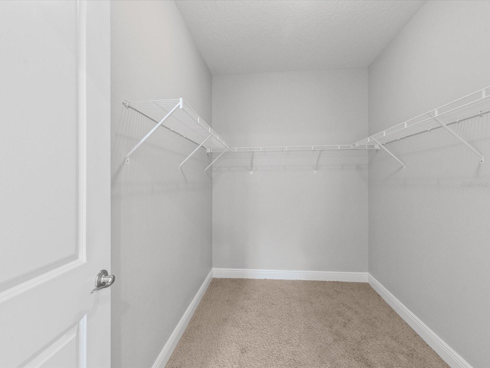 7105 PARK TREE DR, TAMPA, FL, 33625