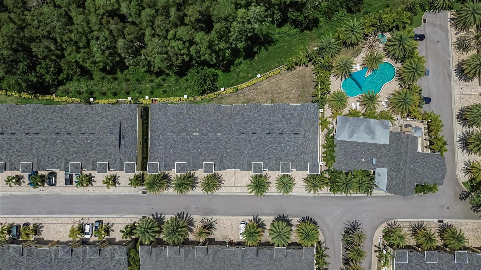 750 GRAND CYPRESS LN, TARPON SPRINGS, FL, 34689