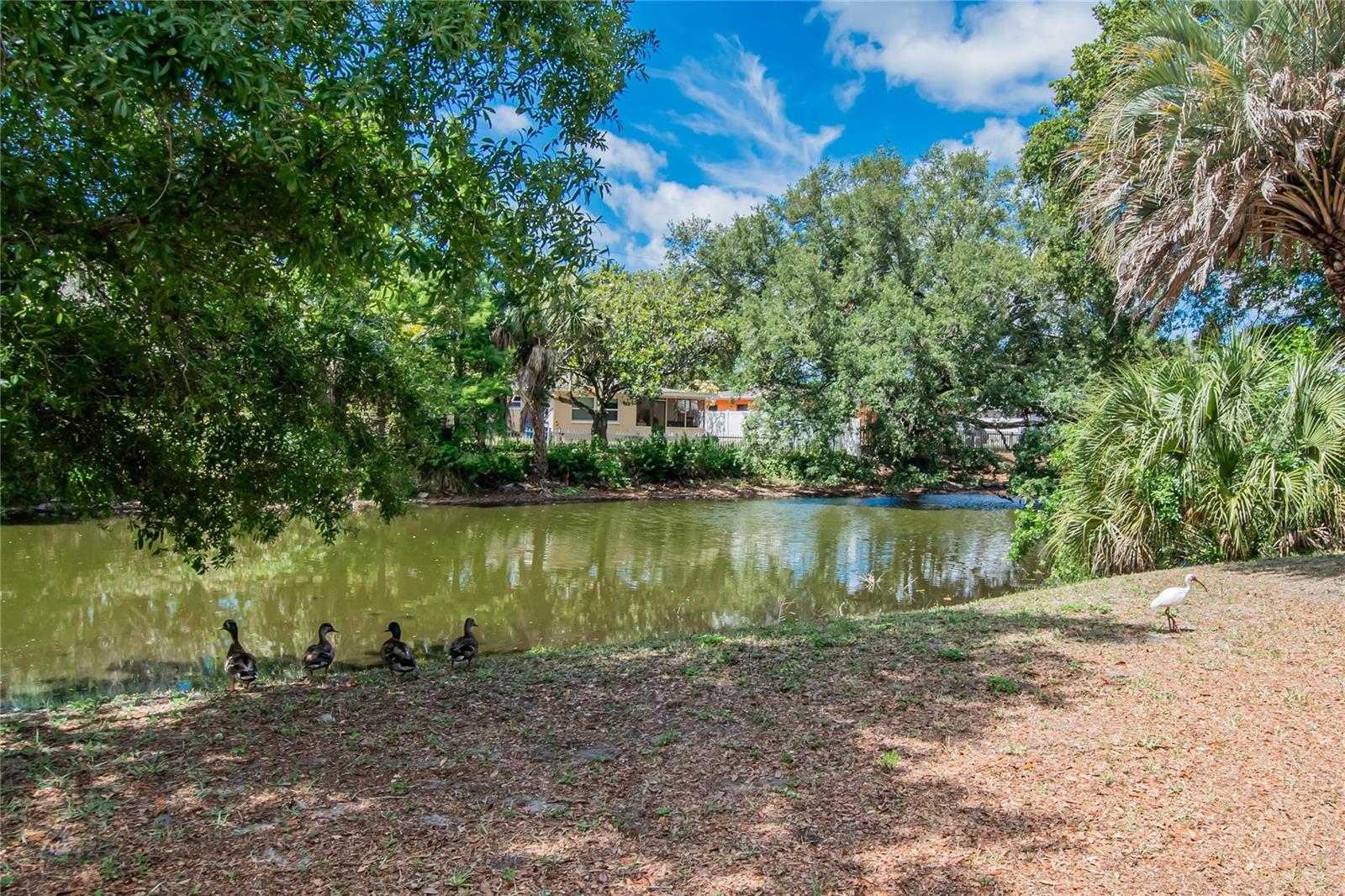 750 GRAND CYPRESS LN, TARPON SPRINGS, FL, 34689