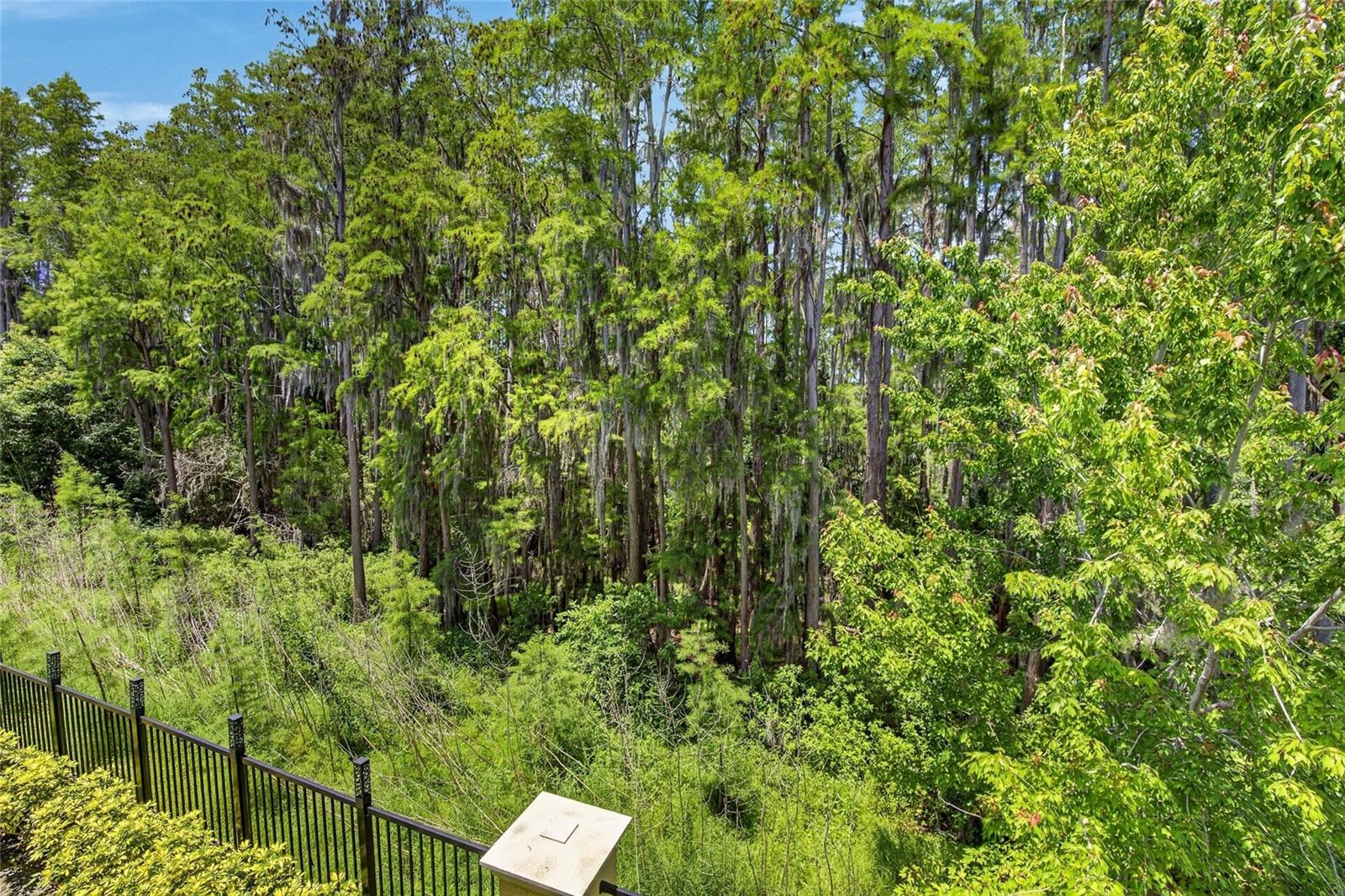 750 GRAND CYPRESS LN, TARPON SPRINGS, FL, 34689