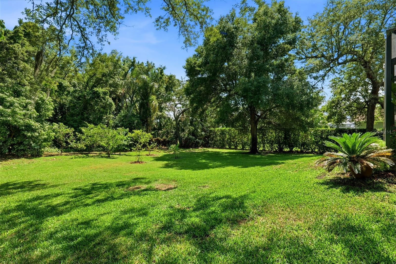 1709 GULF RD, TARPON SPRINGS, FL, 34689