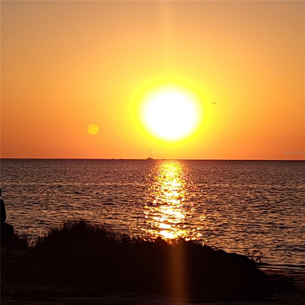 1709 GULF RD, TARPON SPRINGS, FL, 34689