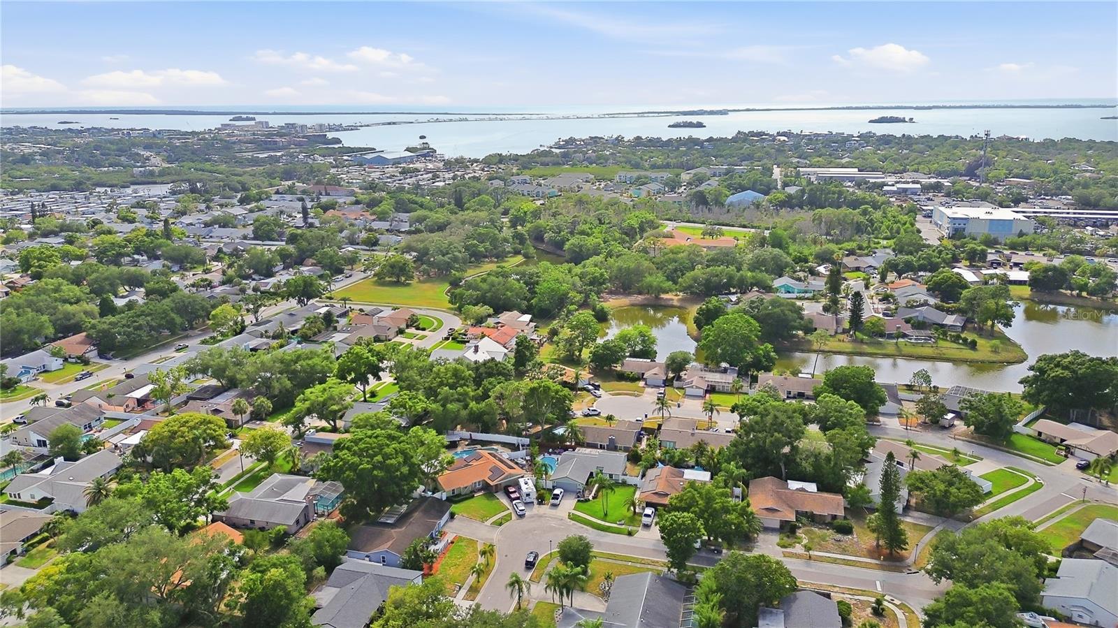 391 WALNUT CT, PALM HARBOR, FL, 34683
