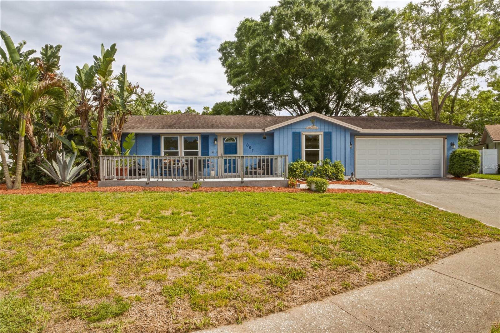391 WALNUT CT, PALM HARBOR, FL, 34683