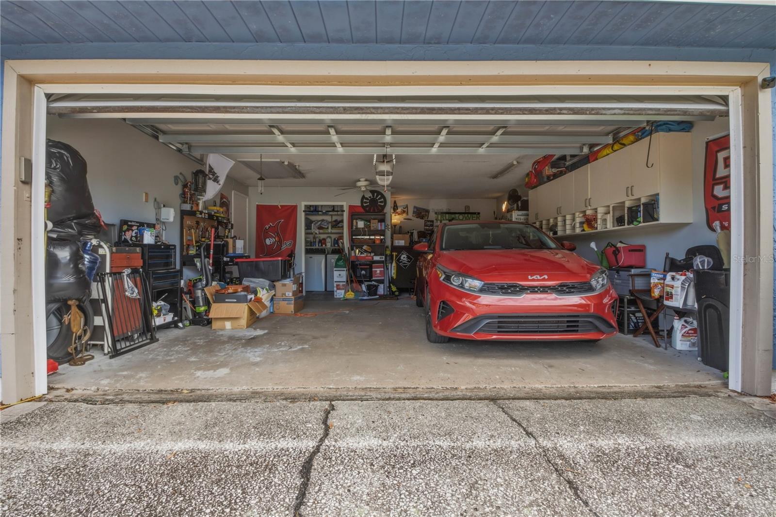 391 WALNUT CT, PALM HARBOR, FL, 34683