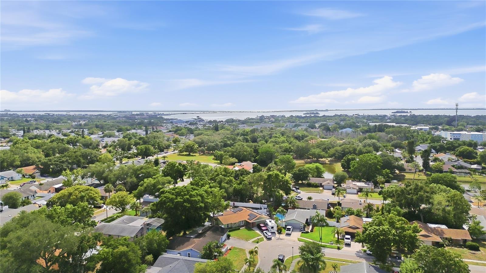 391 WALNUT CT, PALM HARBOR, FL, 34683