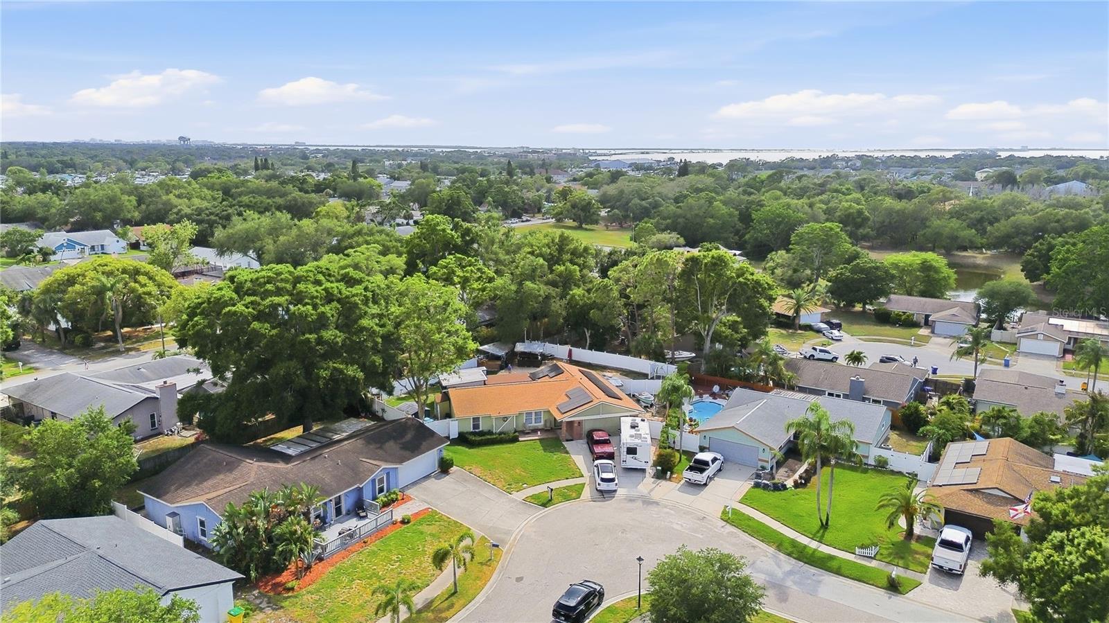 391 WALNUT CT, PALM HARBOR, FL, 34683
