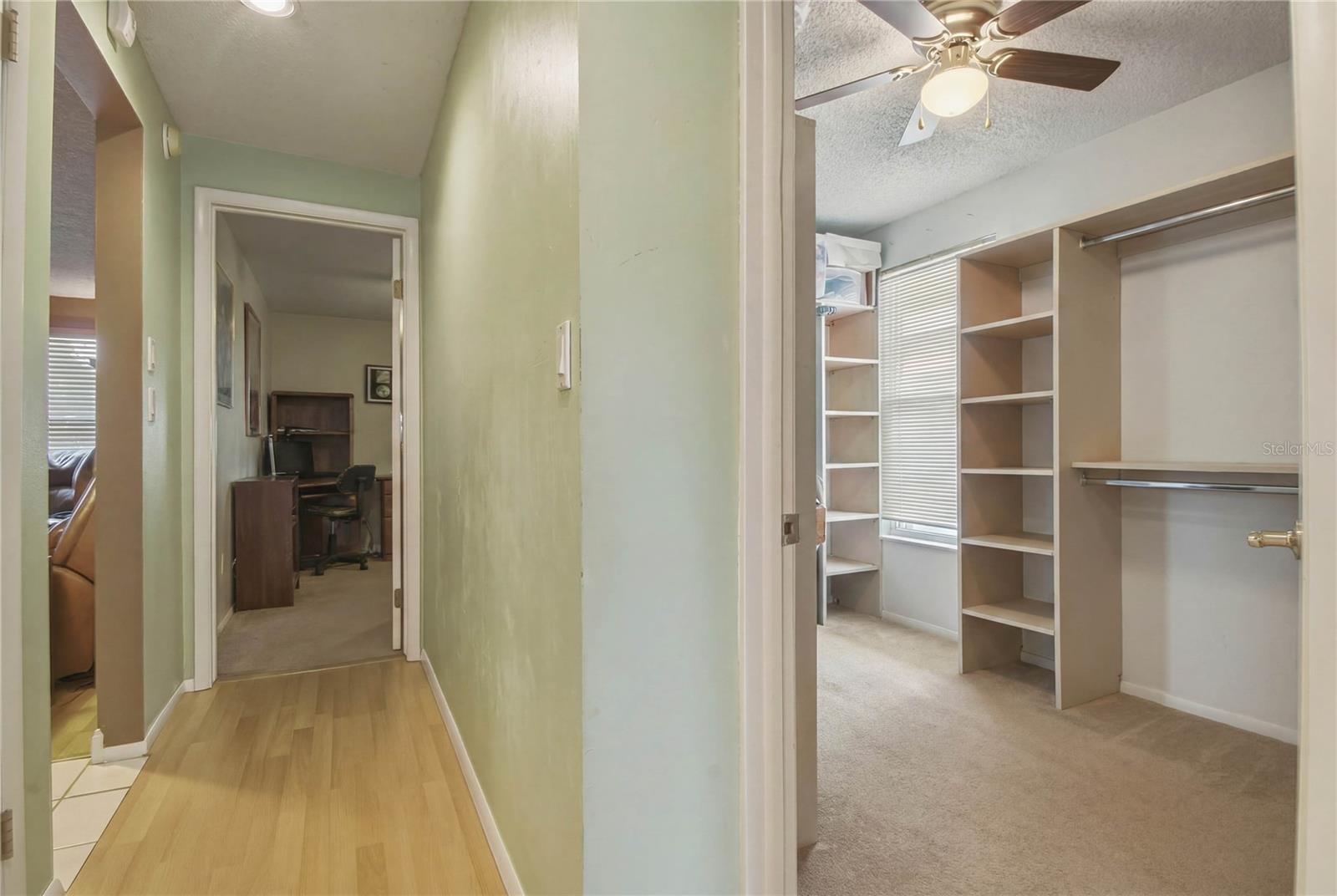 391 WALNUT CT, PALM HARBOR, FL, 34683