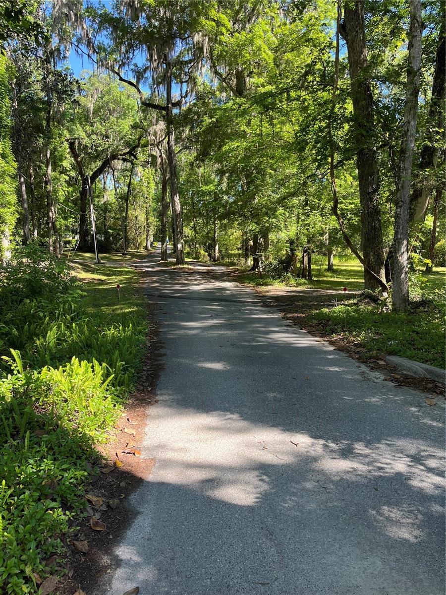 1565 OAKHURST DR, BROOKSVILLE, FL, 34601