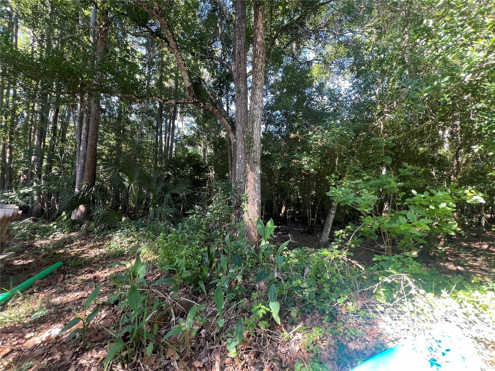 9714 MENDEL DR, NEW PORT RICHEY, FL, 34654