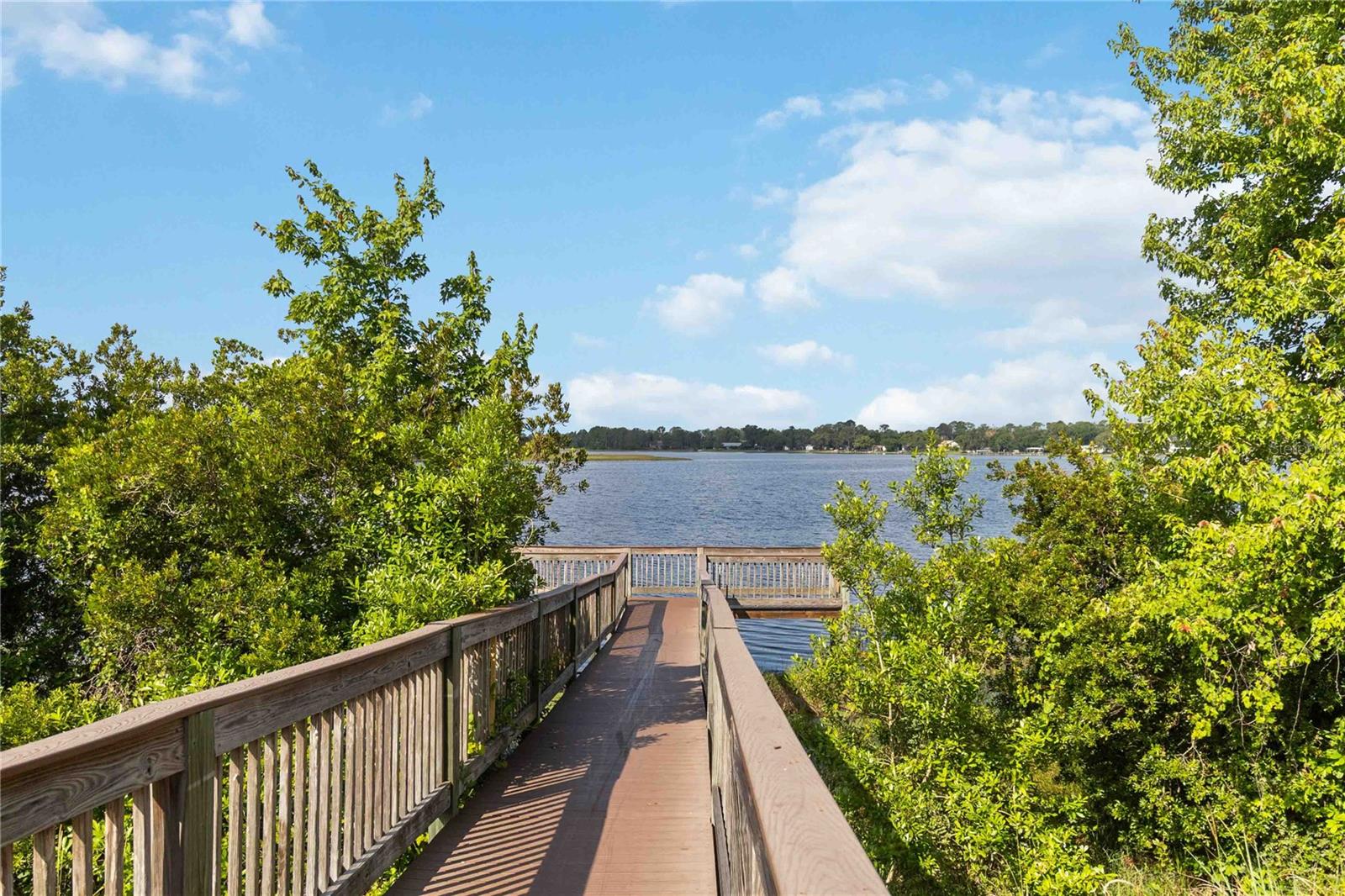 15518 FOUNTAIN COVE CT, WINTER GARDEN, FL, 34787