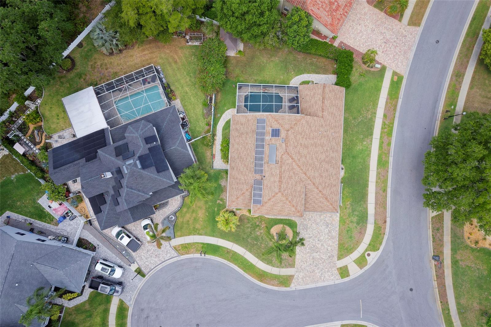 8115 MONTOCK CT, TRINITY, FL, 34655