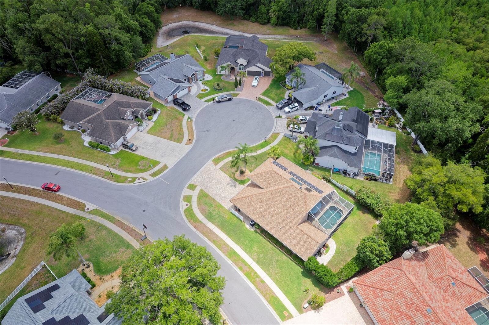 8115 MONTOCK CT, TRINITY, FL, 34655