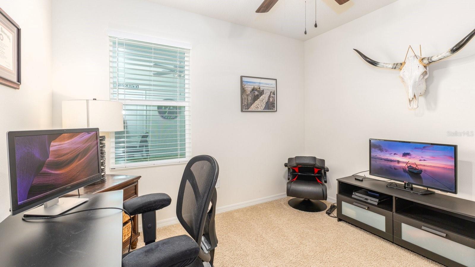5208 GREENHEART AVE, MOUNT DORA, FL, 32757