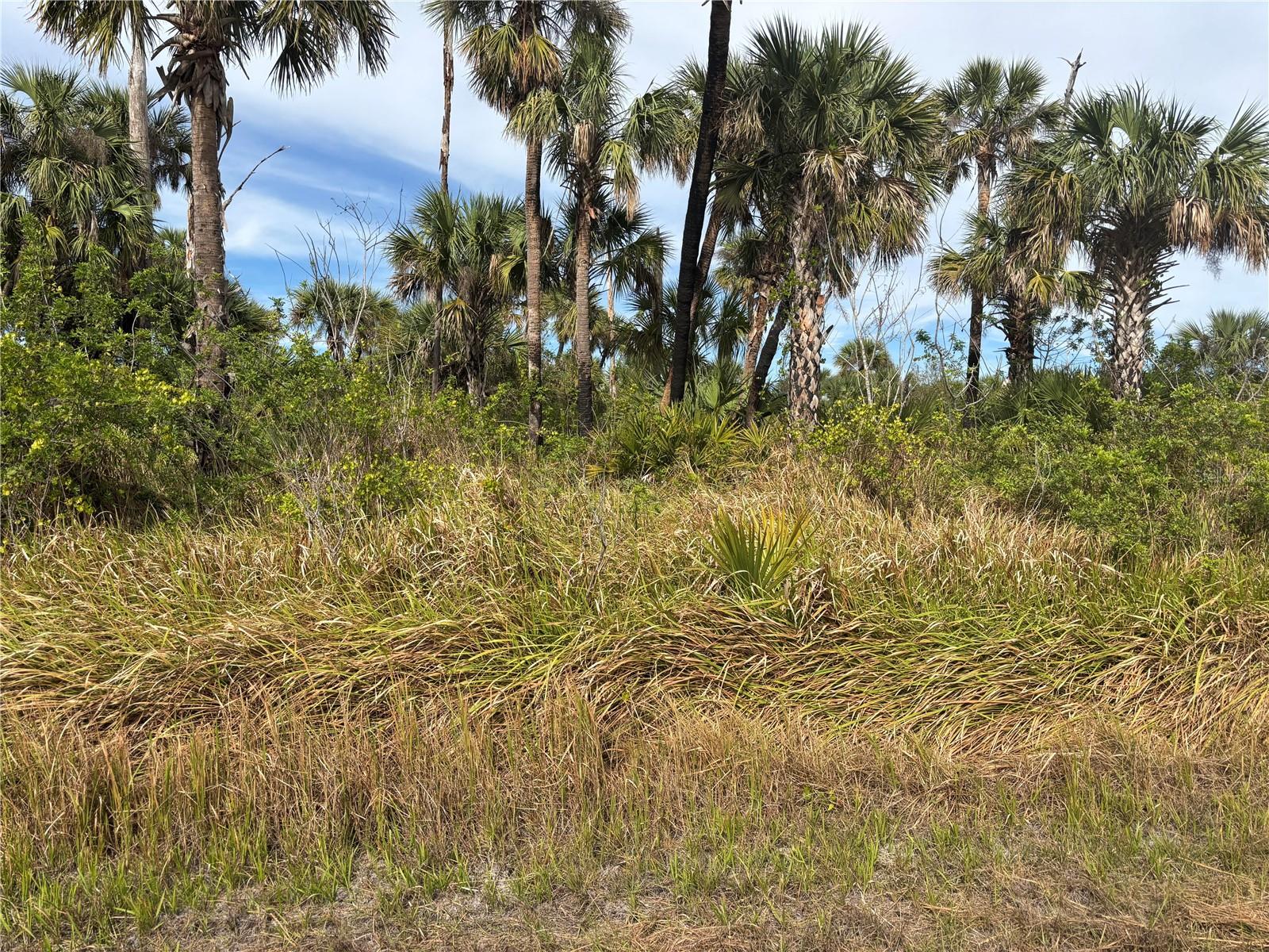 MELISSA TER, NORTH PORT, FL, 34286