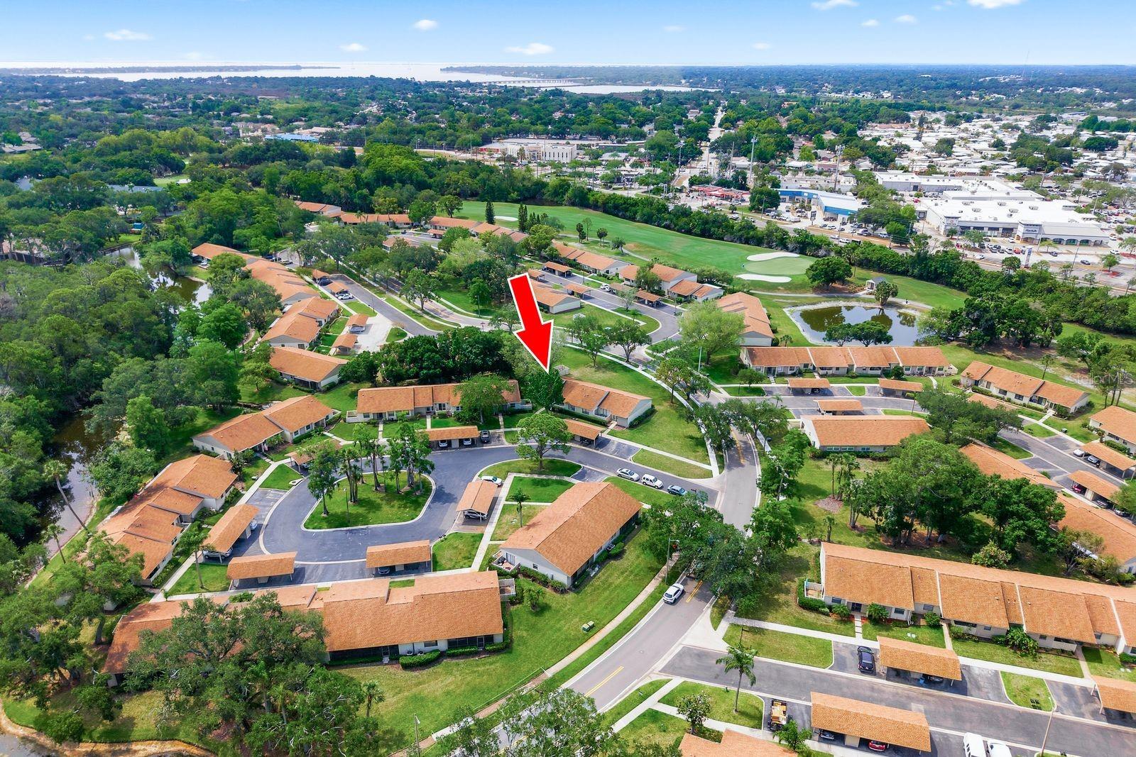 20 EVELYN CT, OLDSMAR, FL, 34677