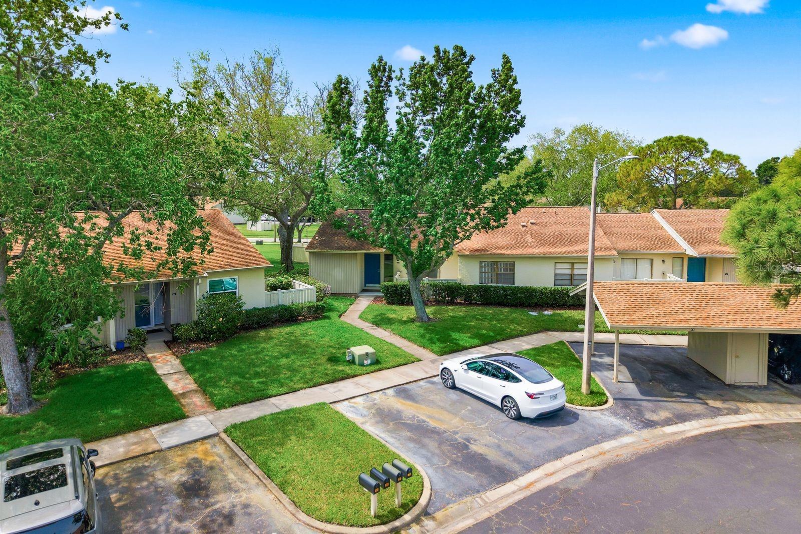 20 EVELYN CT, OLDSMAR, FL, 34677