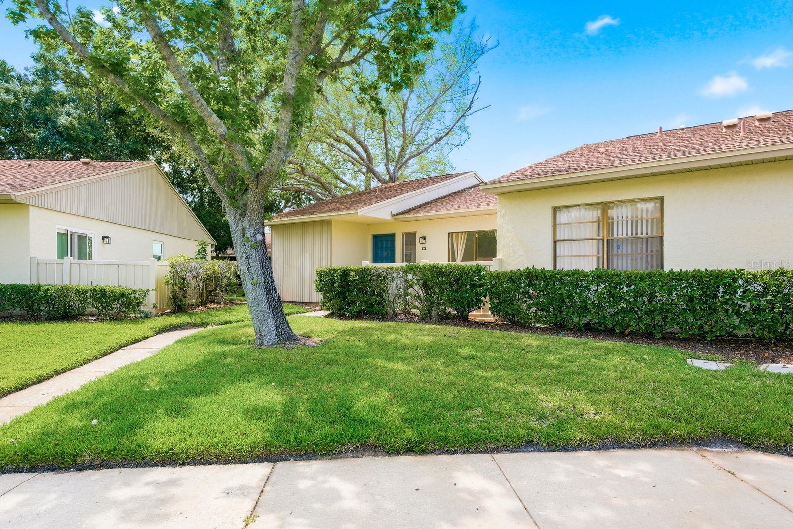 20 EVELYN CT, OLDSMAR, FL, 34677