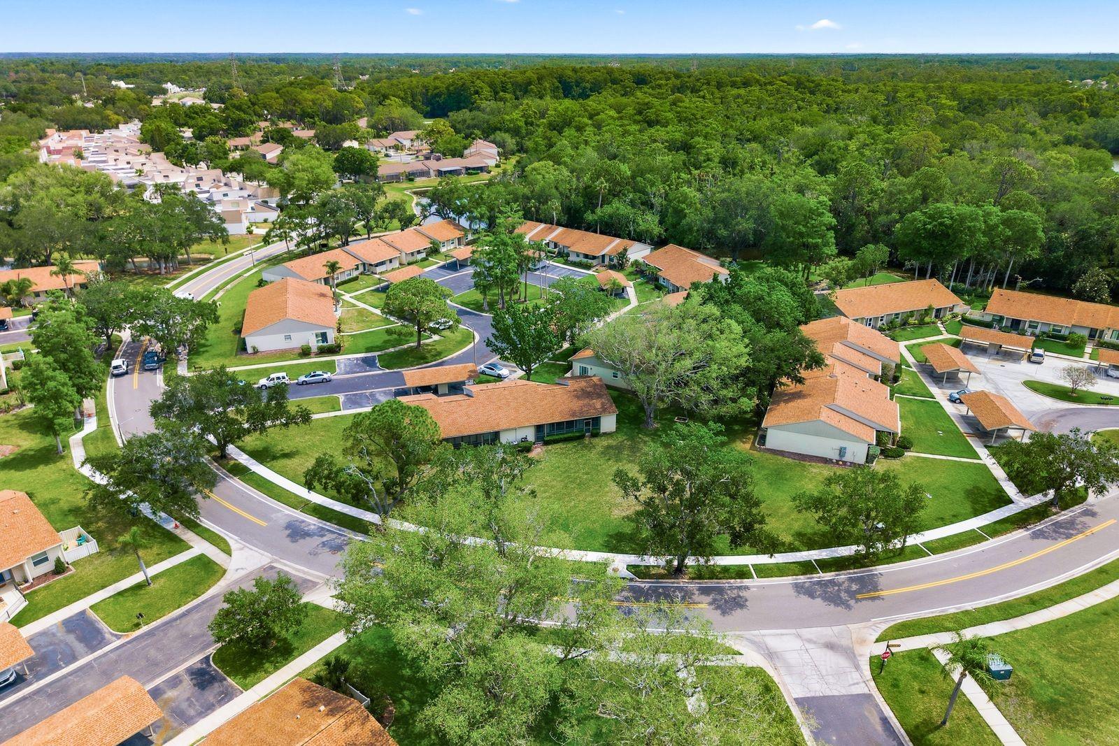 20 EVELYN CT, OLDSMAR, FL, 34677