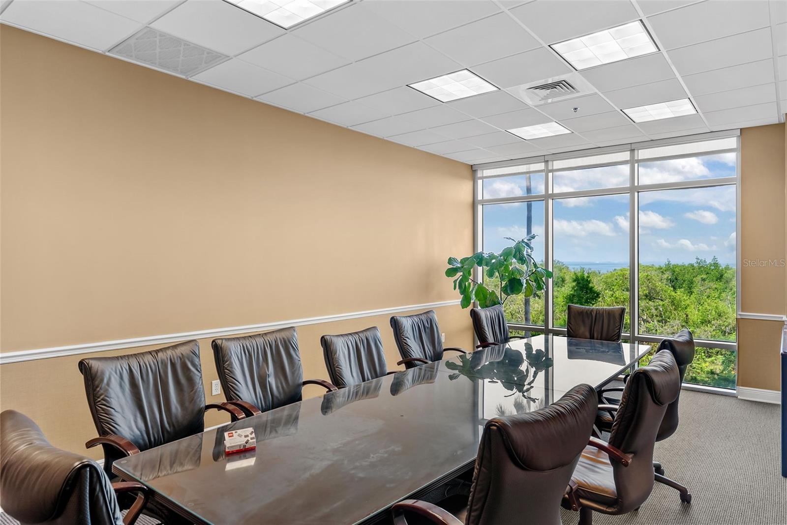 5550 W EXECUTIVE DR #250, TAMPA, FL, 33609