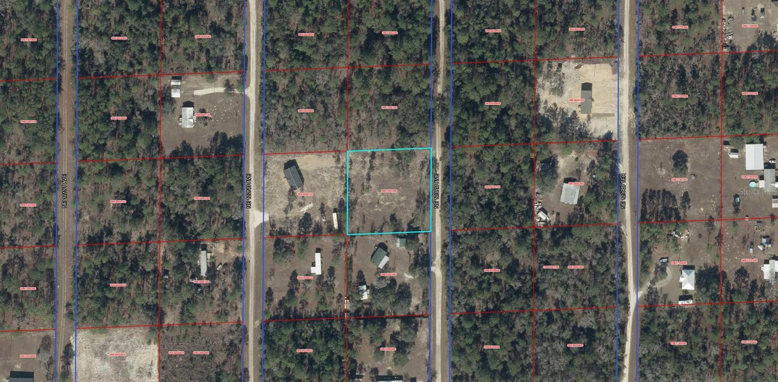 TBD NE 123RD AVE, WILLISTON, FL, 32696
