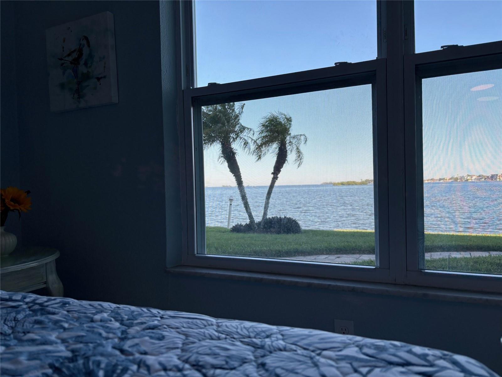 464 PAULA DR N #116, DUNEDIN, FL, 34698