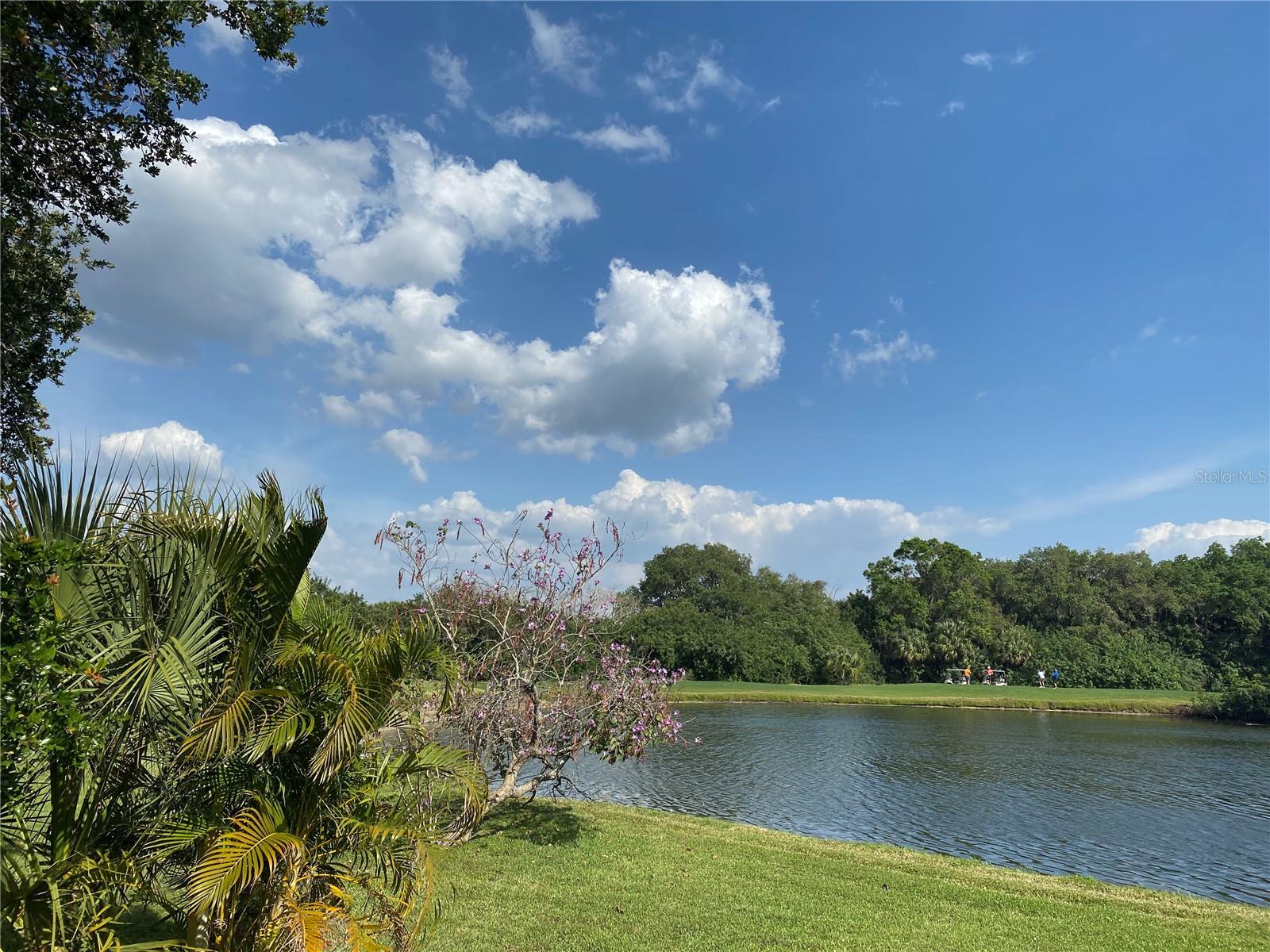 8758 WILD DUNES DR, SARASOTA, FL, 34241