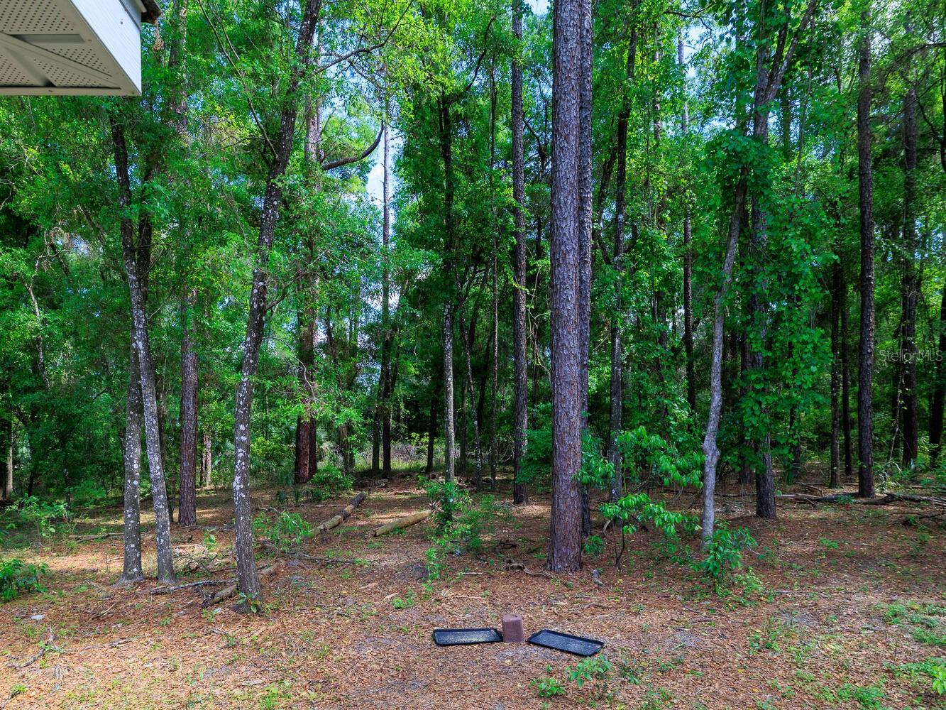 7695 SW 188TH AVE, DUNNELLON, FL, 34432