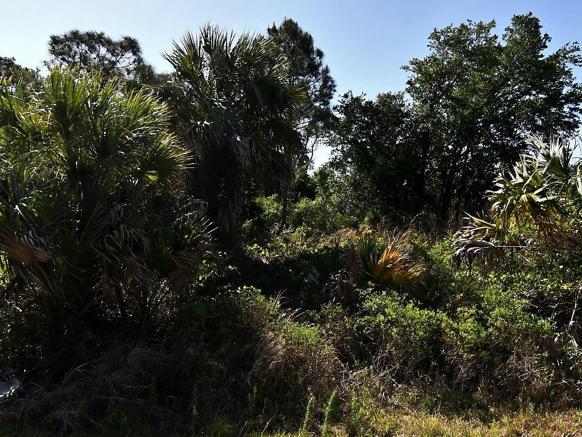 Lot 2 BANNOCK CIR, NORTH PORT, FL, 34288