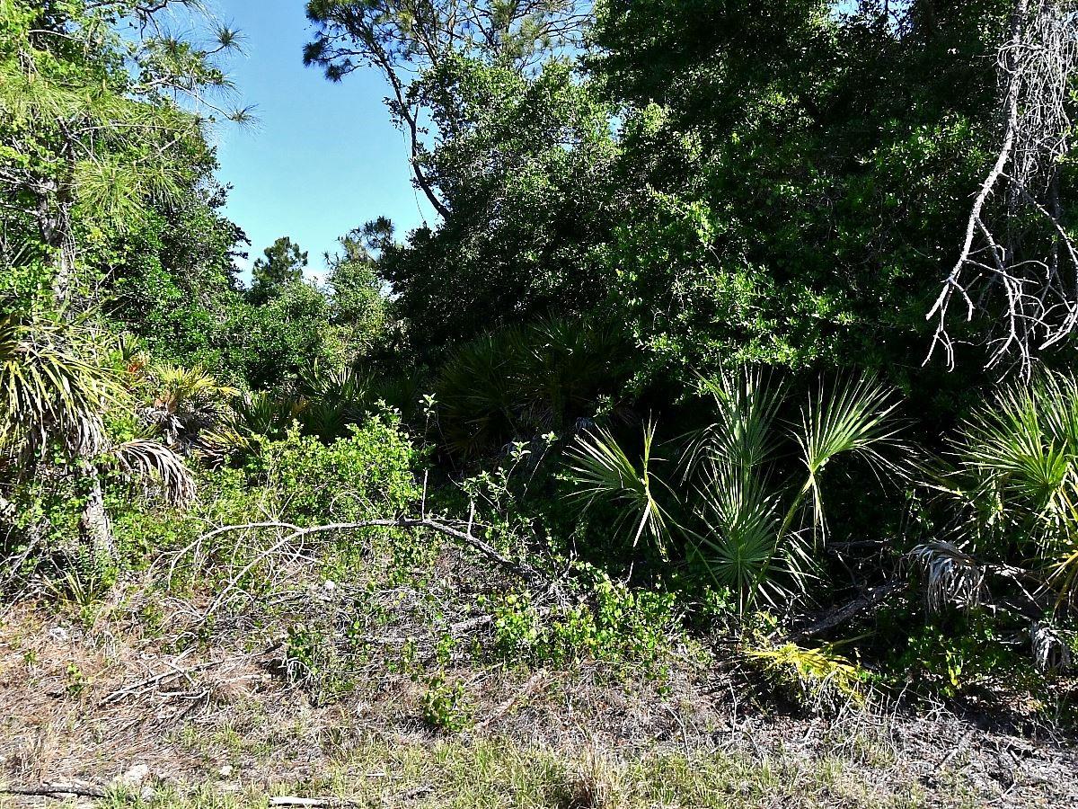 Lot 7 BARCELONA DR, NORTH PORT, FL, 34288