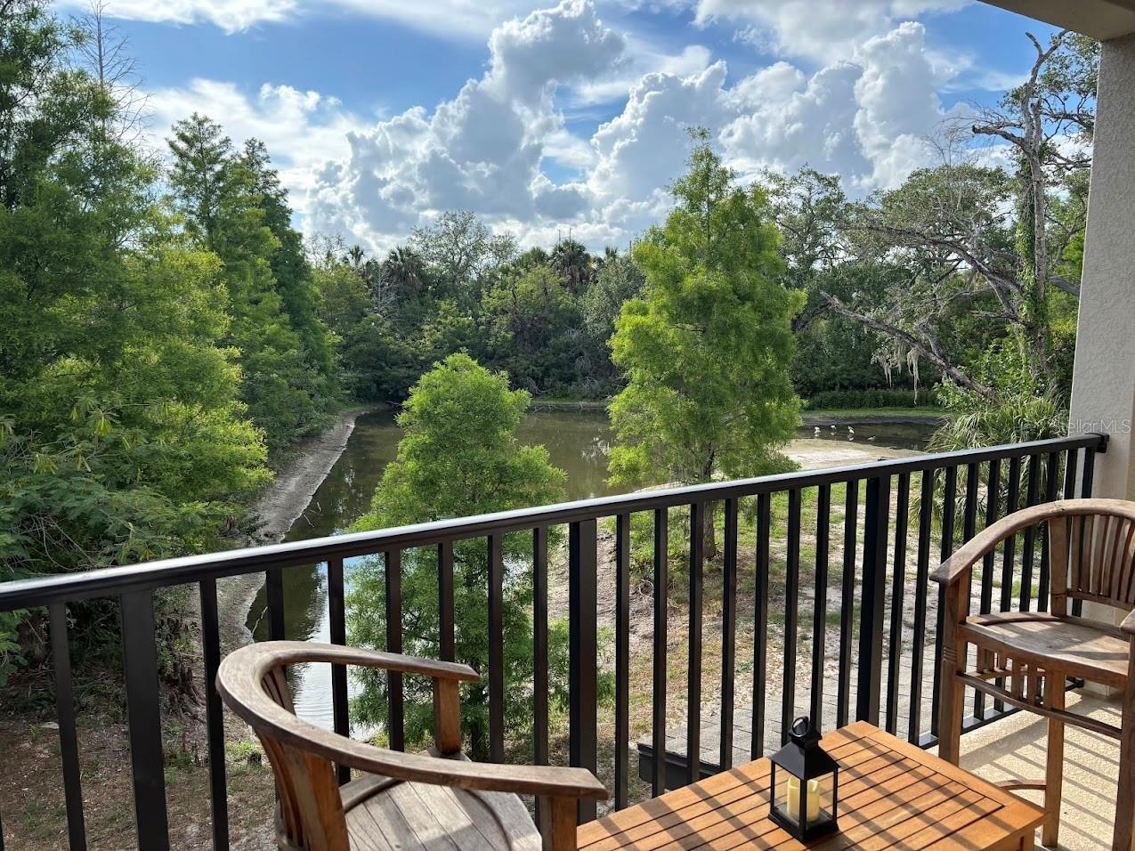 870 TENNYSON MILL CIR, TAMPA, FL, 33619
