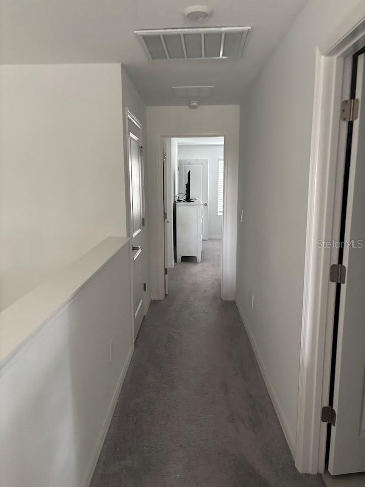 870 TENNYSON MILL CIR, TAMPA, FL, 33619