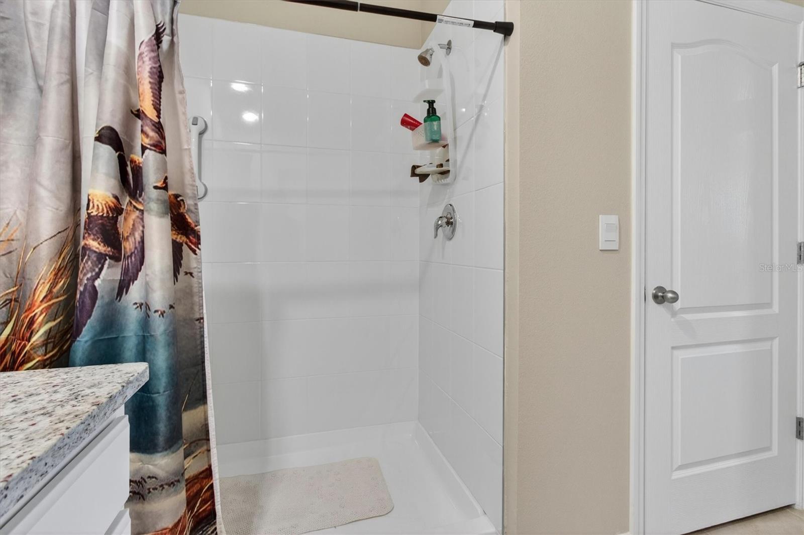 11112 AMBER RIDGE DR, ZELLWOOD, FL, 32798
