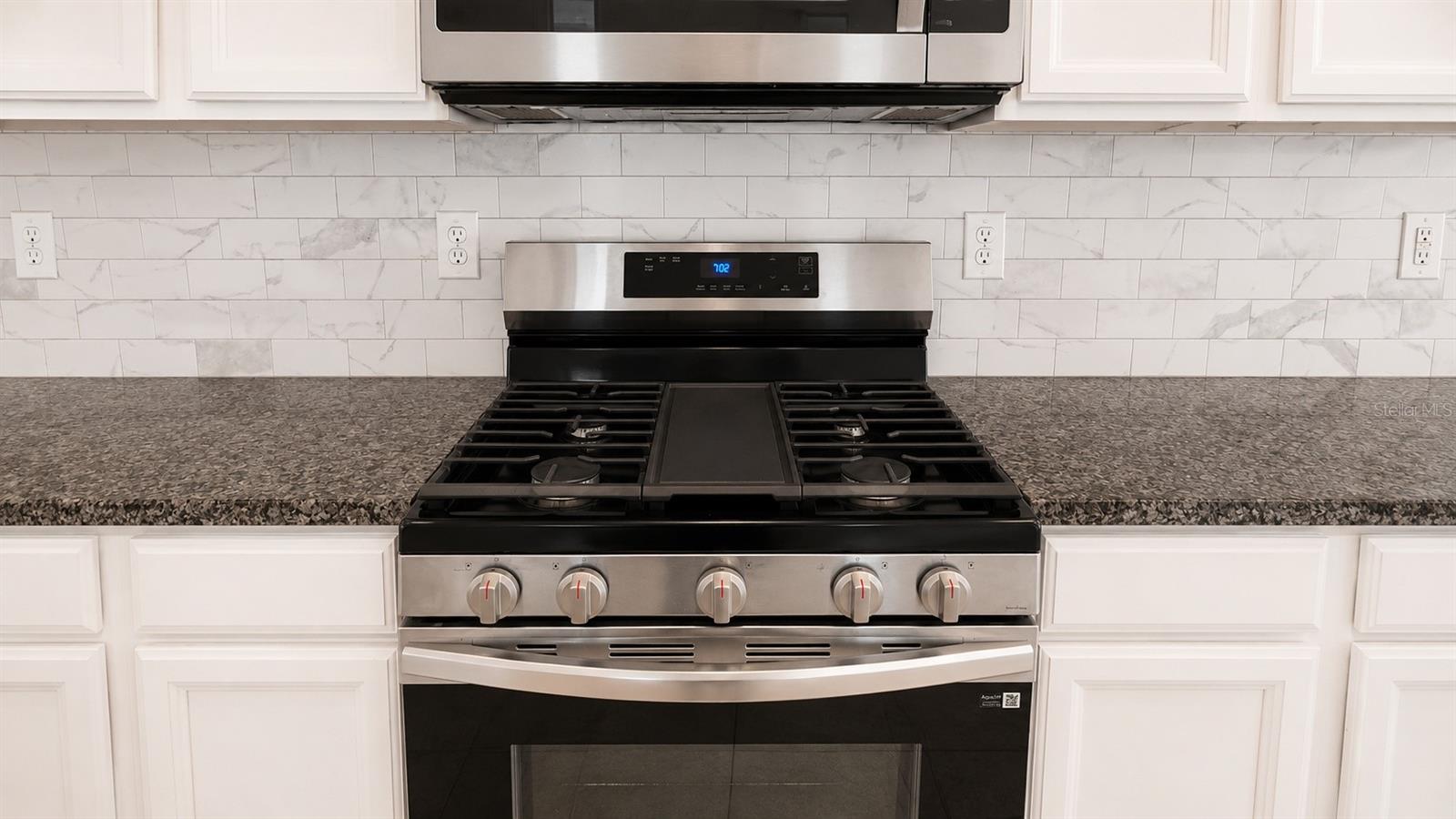 17077 HARBOR OAK PKWY, WINTER GARDEN, FL, 34787