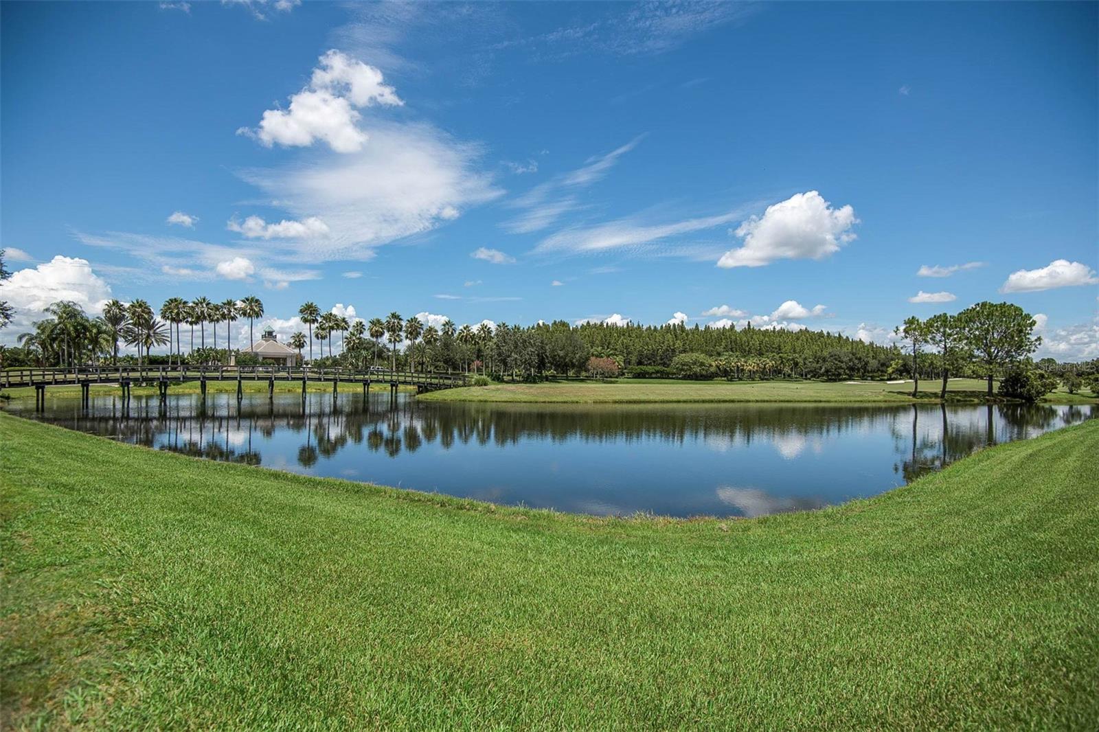 10446 LUCAYA DR, TAMPA, FL, 33647