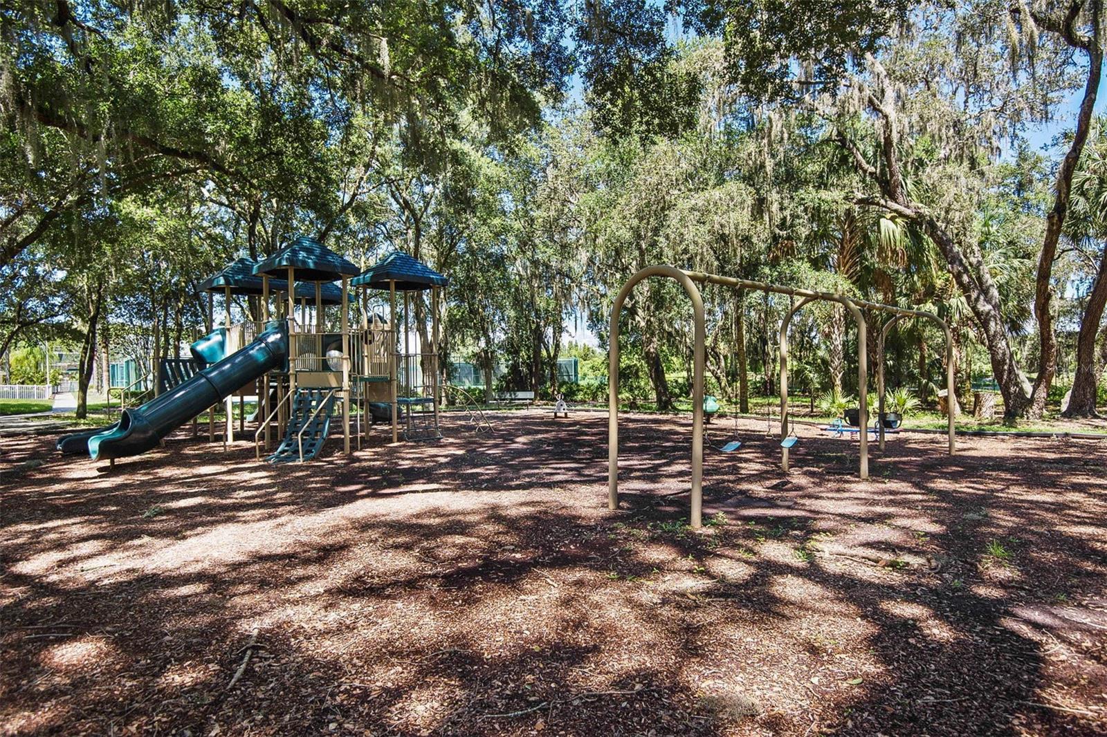 10446 LUCAYA DR, TAMPA, FL, 33647