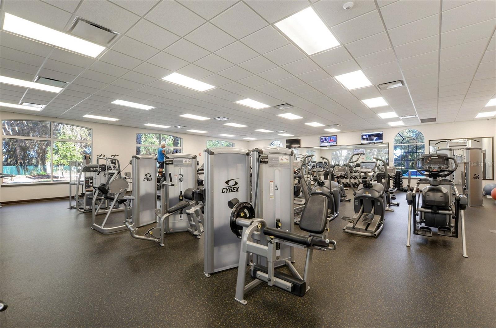 10446 LUCAYA DR, TAMPA, FL, 33647