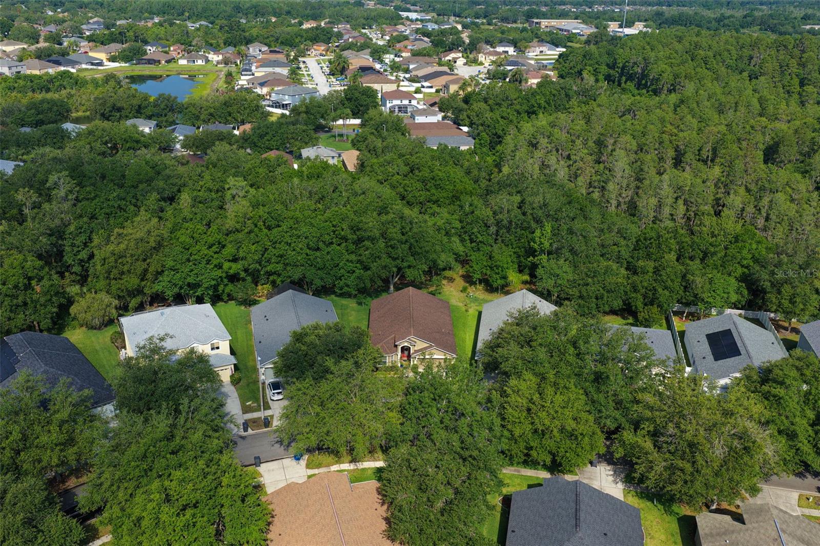 10446 LUCAYA DR, TAMPA, FL, 33647