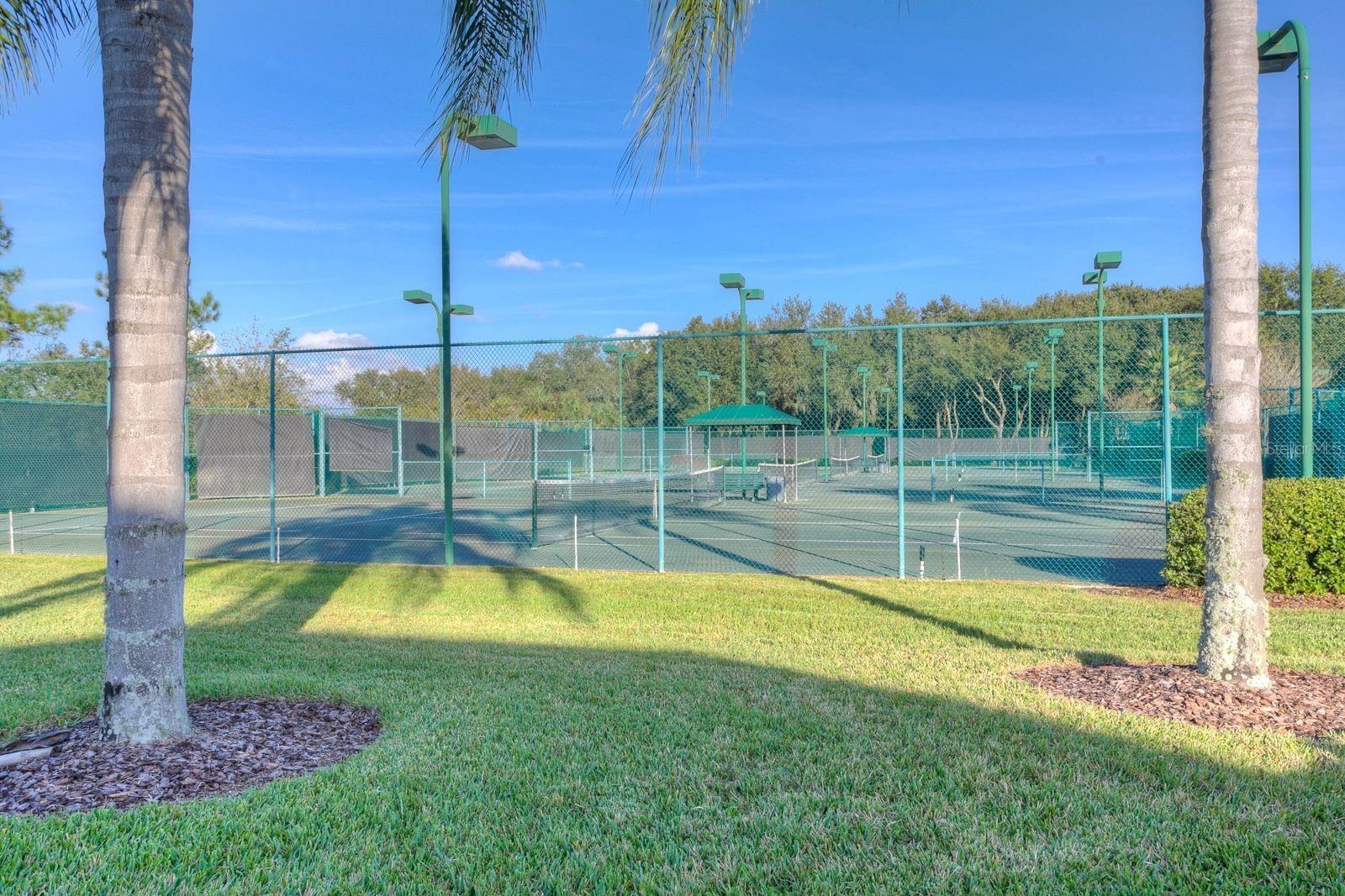 10446 LUCAYA DR, TAMPA, FL, 33647