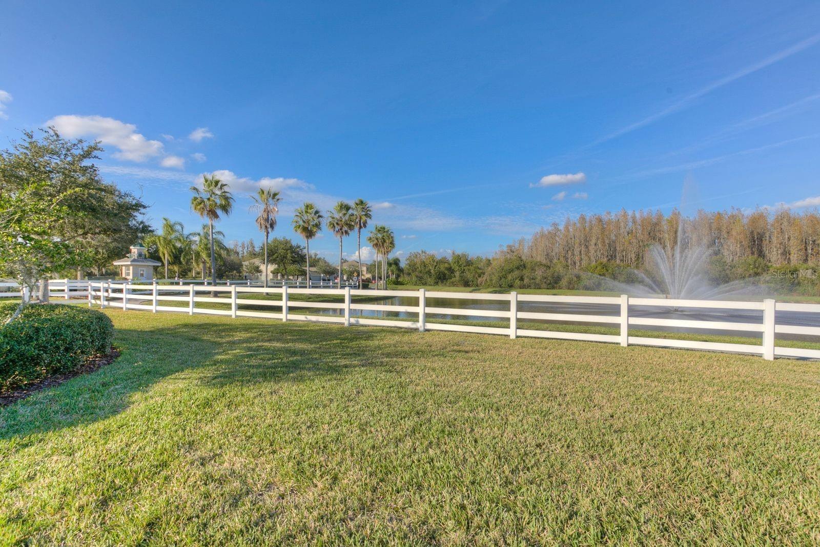 10446 LUCAYA DR, TAMPA, FL, 33647