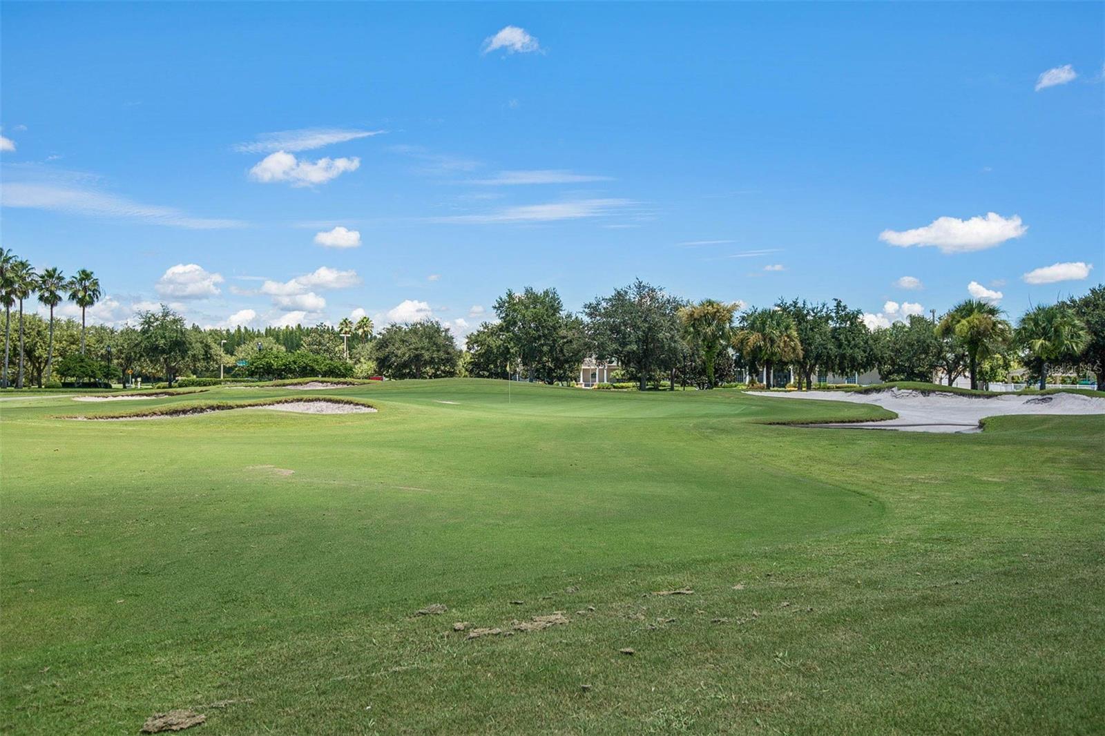10446 LUCAYA DR, TAMPA, FL, 33647