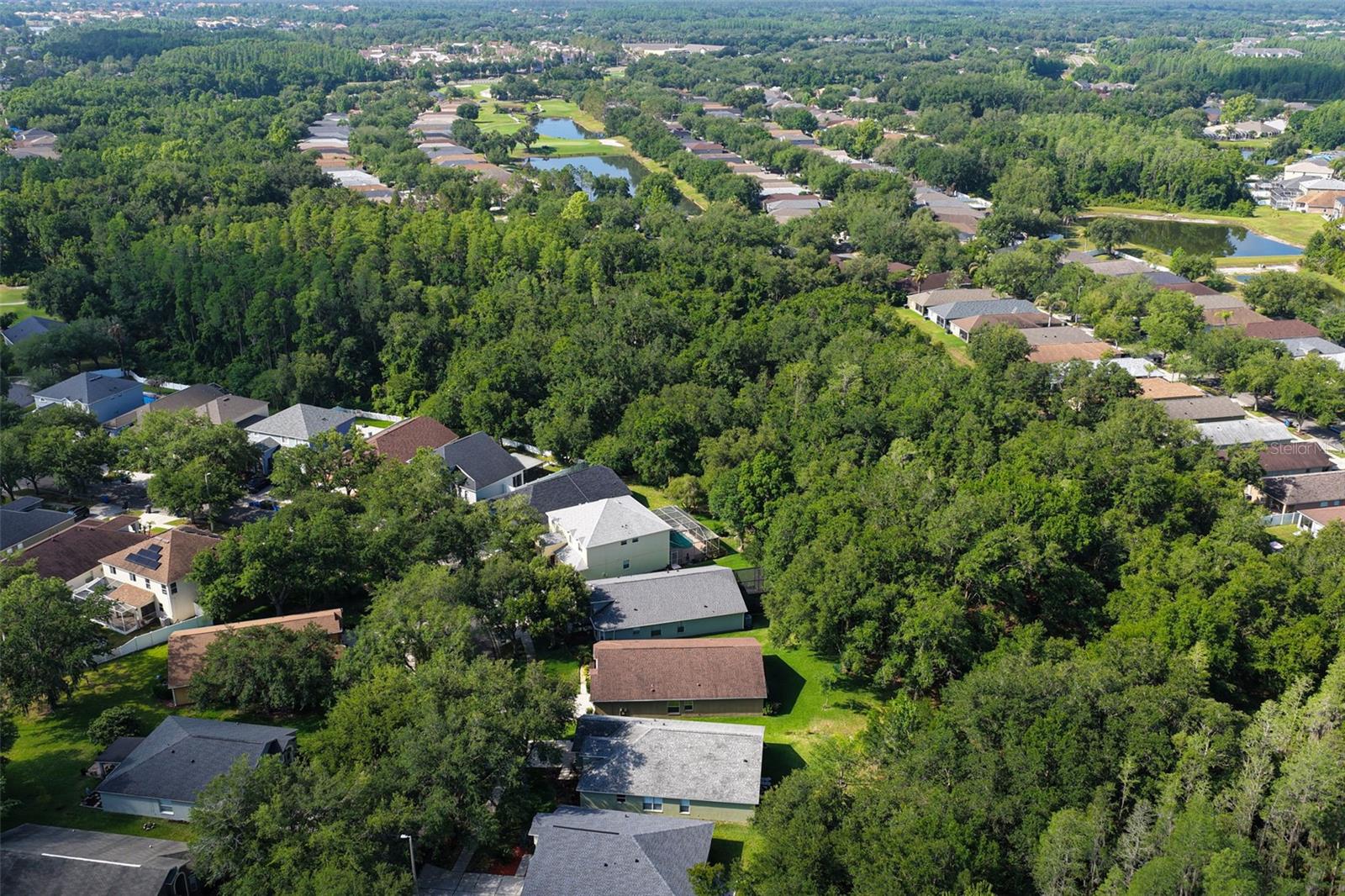 10446 LUCAYA DR, TAMPA, FL, 33647