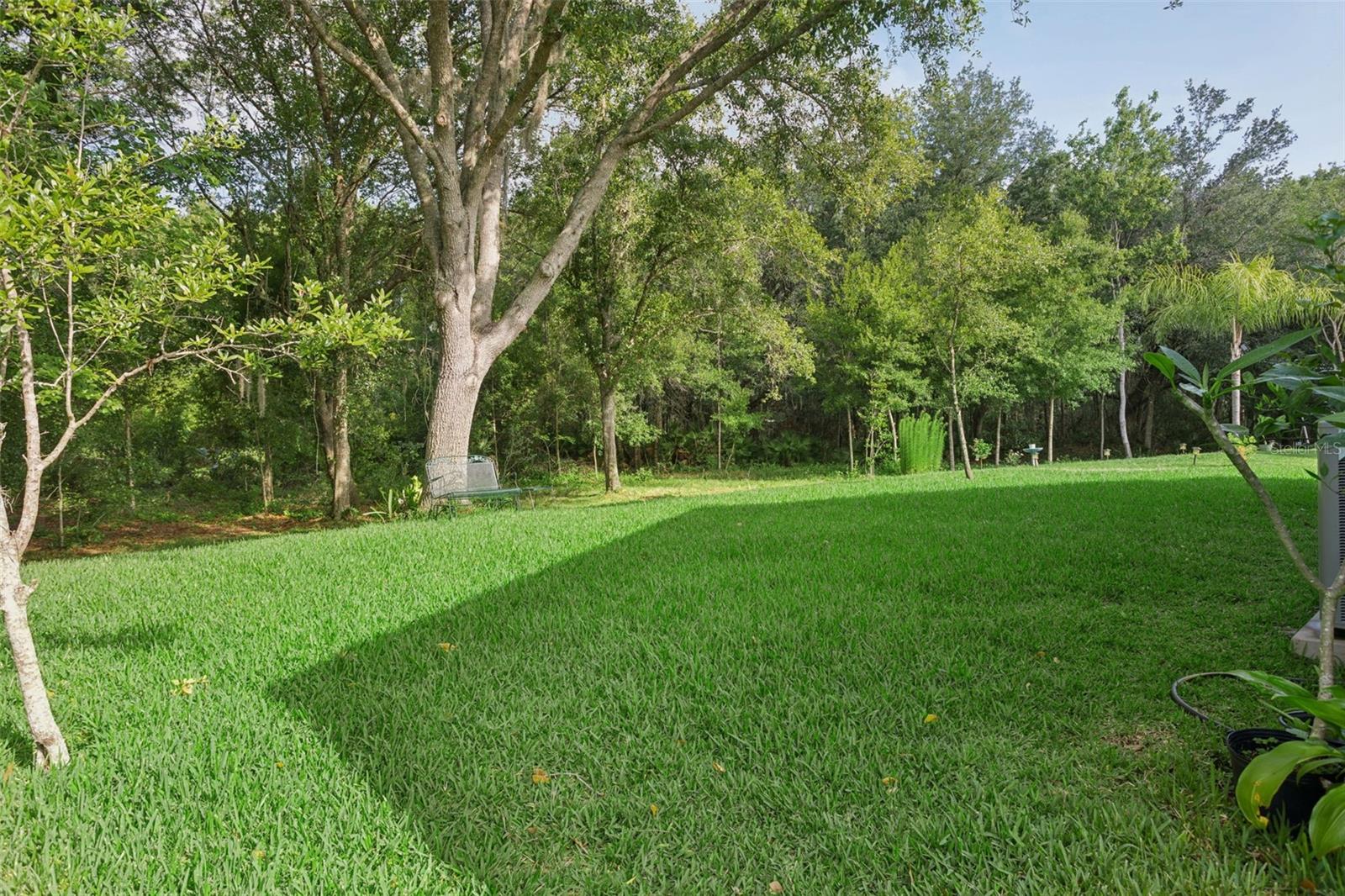 10446 LUCAYA DR, TAMPA, FL, 33647